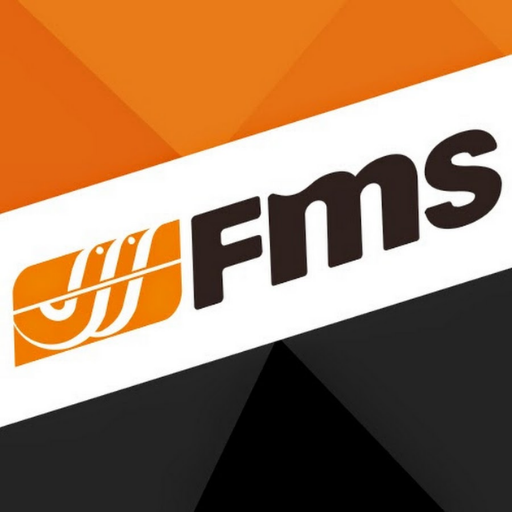 Fms RC car