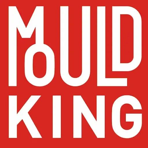 Mould King